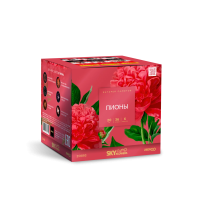 Пионы Салют купить в Перми | perm.salutsklad.ru