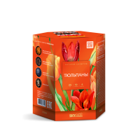 Тюльпаны Салют купить в Перми | perm.salutsklad.ru