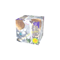 Новогодняя ночь Салют купить в Перми | perm.salutsklad.ru