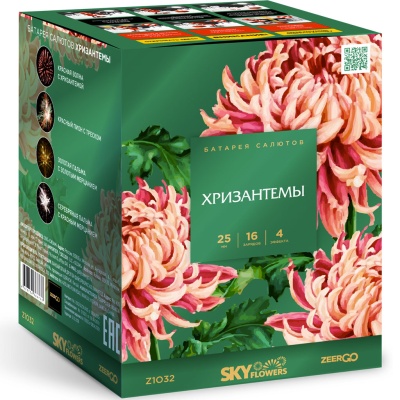 Хризантемы Фейерверк купить в Перми | perm.salutsklad.ru