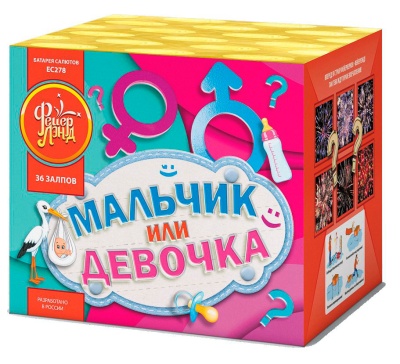 Мальчик или девочка М Фейерверк купить в Перми | perm.salutsklad.ru